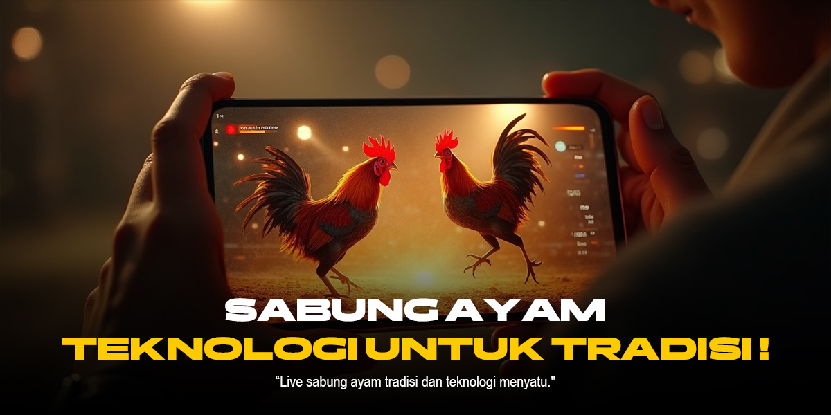 Mengenal Jenis Ayam Aduan Unggulan di SV388 Sabung Ayam